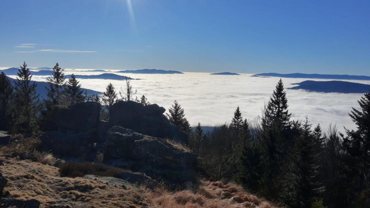 Ferienwohnung Wildgatter Grafenwiesen Buitenkant foto