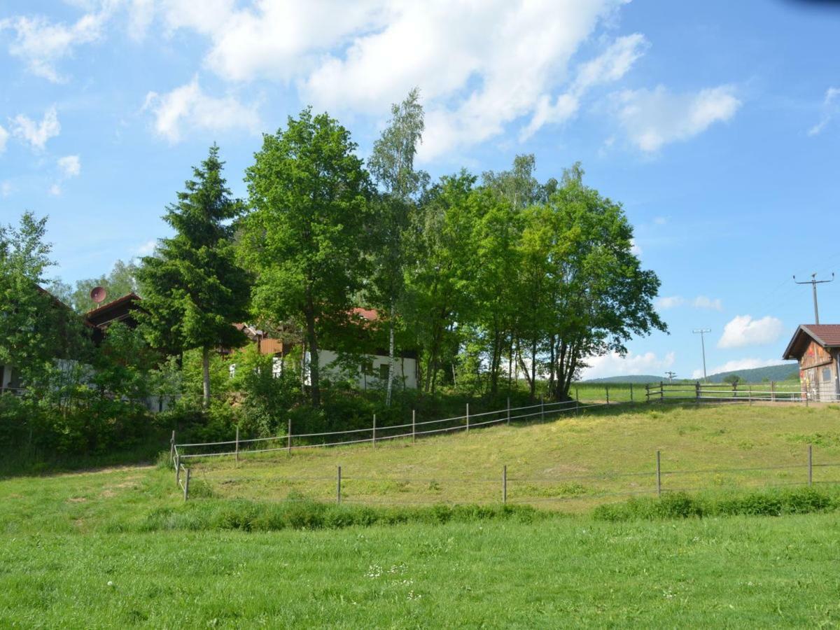 Ferienwohnung Wildgatter Grafenwiesen Buitenkant foto